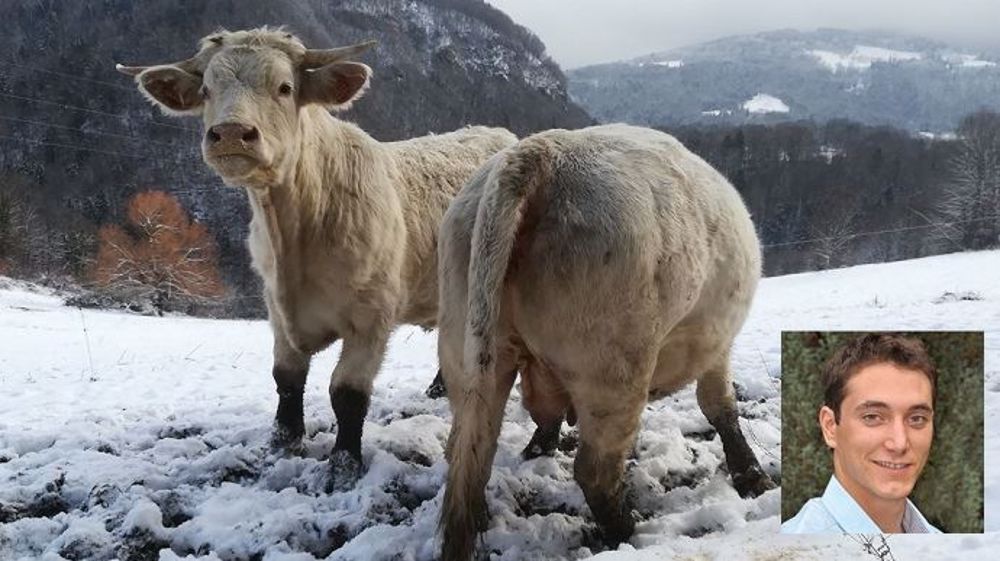 Grâce à un stage de parrainage avec le cédant, Robin et Anne ont pu apprendre les gestes et savoir-faire essentiels pour être éleveurs en Isère, comme travailler les pieds dans la neige ! (©Robin Vergonjeanne)