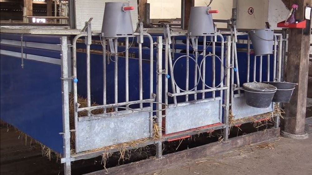 Des cases à veaux sur rail au dessus du racleur pour faciliter le nettoyage