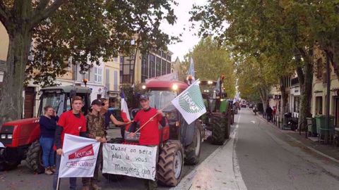 Les agriculteurs se mobilisent de nouveau le 27 novembre (©@fdsea13) Les agriculteurs se mobilisent de nouveau le 27 novembre (©@fdsea13)