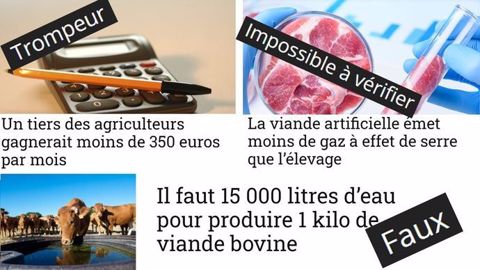 DecodAgri apporte des faits à la véracité établie face aux vagues de désinformation auxquelles l’agriculture française fait face. (©Montage Terre-net Média) DecodAgri apporte des faits à la véracité établie face aux vagues de désinformation auxquelles l’agriculture française fait face. (©Montage Terre-net Média)