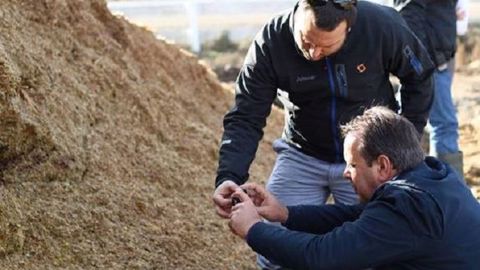 Une bonne gestion des mycotoxines passe avant tout par un bon diagnostic et une bonne connaissance du risque en exploitation. (©Alltech) Une bonne gestion des mycotoxines passe avant tout par un bon diagnostic et une bonne connaissance du risque en exploitation. (©Alltech)