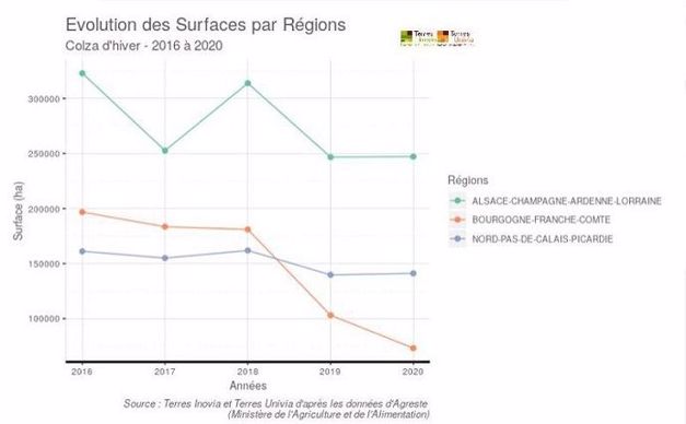 Évolution des surfaces de colza d'hiver par régions