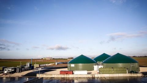 La coopérative, en cas de besoin, peut compléter le gisement avec des Cive collectées auprès d’autres adhérents.(©GRDF) La coopérative, en cas de besoin, peut compléter le gisement avec des Cive collectées auprès d’autres adhérents.(©GRDF)