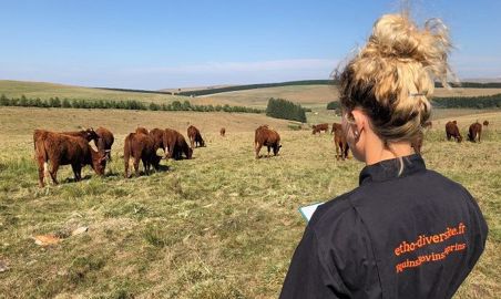 L’observation régulière des animaux et le suivi de leurs performances sont les premières étapes pour une détection rapide des maladies. L’observation régulière des animaux et le suivi de leurs performances sont les premières étapes pour une détection rapide des maladies.
