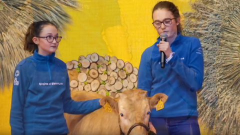 Les jeunes de l'association Graines d'éleveurs du Vercors (à droite sa présidente, Pauline Guillot) veulent relancer la race bovine Villard-de-Lans, qui a failli disparaître. (©Youtube) Les jeunes de l'association Graines d'éleveurs du Vercors (à droite sa présidente, Pauline Guillot) veulent relancer la race bovine Villard-de-Lans, qui a failli disparaître. (©Youtube)