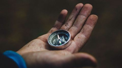 Les enjeux mondiaux - politiques, sociaux, économiques et environnementaux - influenceront plus encore l'évolution de l'agriculture française et européenne ces prochaines années. (©Pixabay) Les enjeux mondiaux - politiques, sociaux, économiques et environnementaux - influenceront plus encore l'évolution de l'agriculture française et européenne ces prochaines années. (©Pixabay)