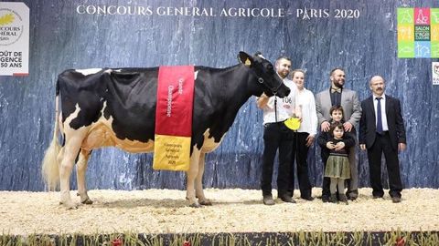 Du bon vent Janna Cama s'offre le titre de grande championne Holstein à Paris Du bon vent Janna Cama s'offre le titre de grande championne Holstein à Paris
