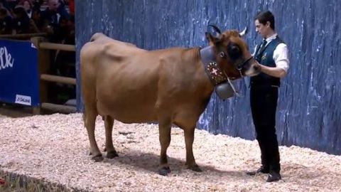 Julienne remporte le prix de championnat adulte du concours Tarentaise au Sia 2020. (©Sia)