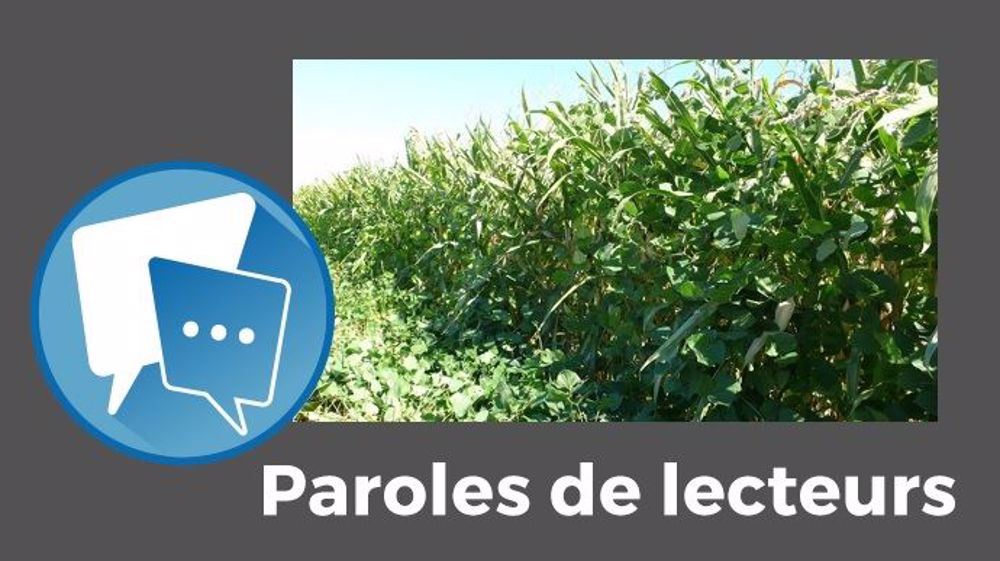 Pour titian, « le bémol, c'est la récolte ! »(© Semental // Création Terre-net Média)