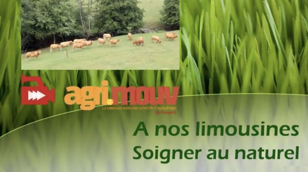 Le GVA féminin de Pierre-Buffière (Haute-Vienne) a remporté le prix agri.mouv (©capture d'écran Youtube)