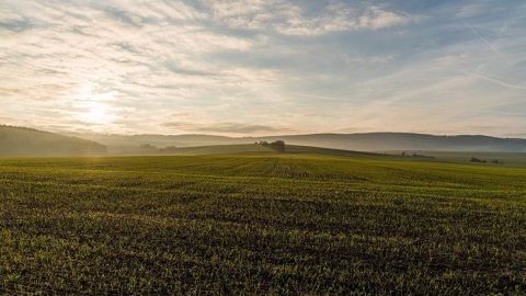 Cet hiver a été marqué par un record de douceur. Il a été bien arrosé surtout au nord et plutôt lumineux. (©Pixabay)
