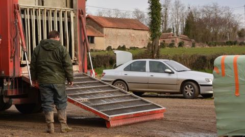 Le gouvernement a mis en ligne un nouveau justificatif de déplacement pour les salariés (©Terre-net Média)