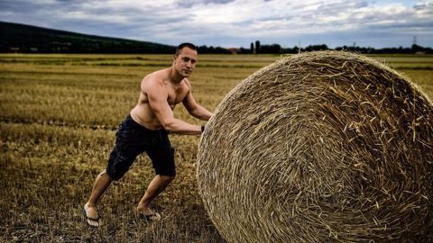 En plus de la récolte des fruits et légumes, les sportifs professionnels vont pouvoir aider les agriculteurs pour les travaux des champs. (©Maximilian/AdobeStock)