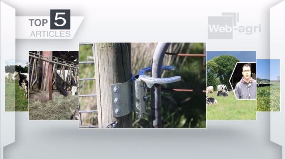 Les cinq articles les plus lus de la semaine sur Web-agri. (©Terre-net Média)