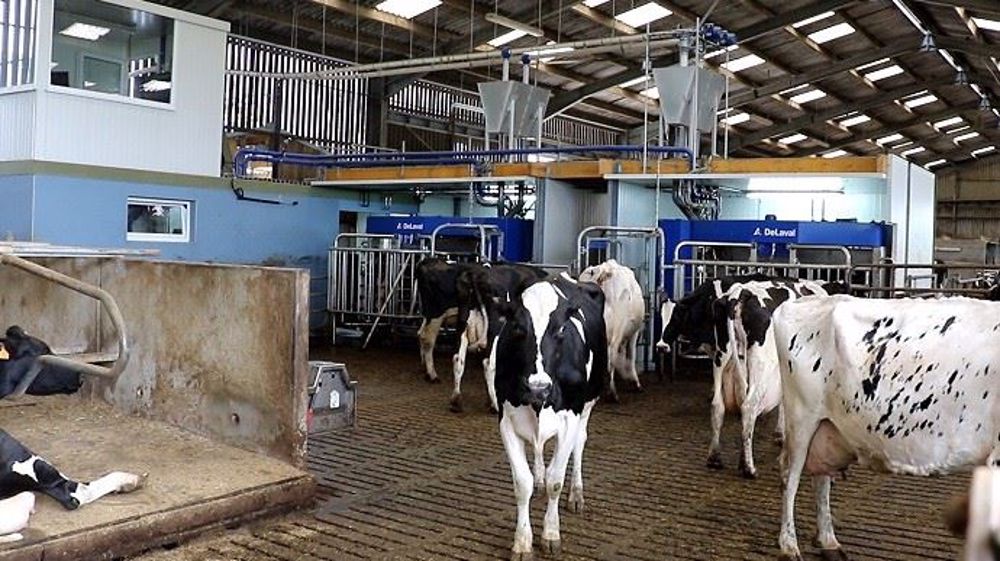 Pour atténuer les conséquences économiques du Covid-19, beaucoup de laiteries ont demandé des baisses de production (©Terre-net Média)