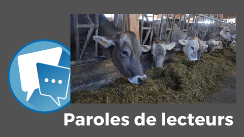 « Le<strong> </strong>rationnement des vaches laitières à haut potentiel peut avoir des conséquences néfastes sur l'élevage », redoute rebelle. (©Terre-net Média) « Le<strong> </strong>rationnement des vaches laitières à haut potentiel peut avoir des conséquences néfastes sur l'élevage », redoute rebelle. (©Terre-net Média)