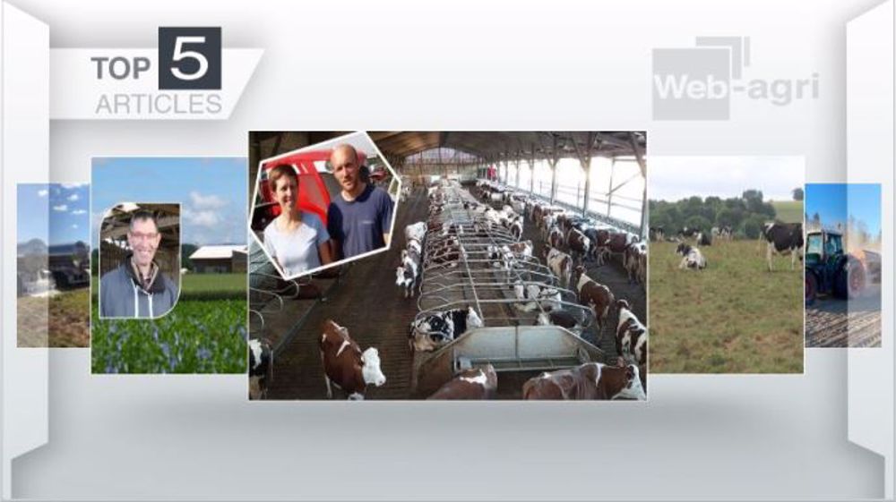 Articles les plus lus sur Web-agri cette semaine. (©Terre-net Média)