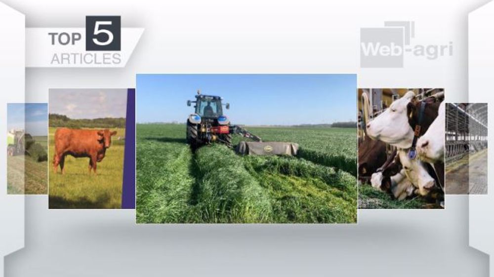 Articles les plus lus sur Web-agri cette semaine. (©Terre-net Média)
