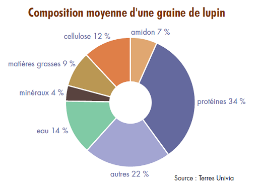 Composition moyenne d'une graine de lupin