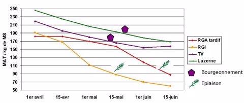 Teneurs en MAT de l'herbe en fonction de la date de récolte