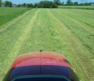 Foin Fauche de l'herbe pour faire du foin
