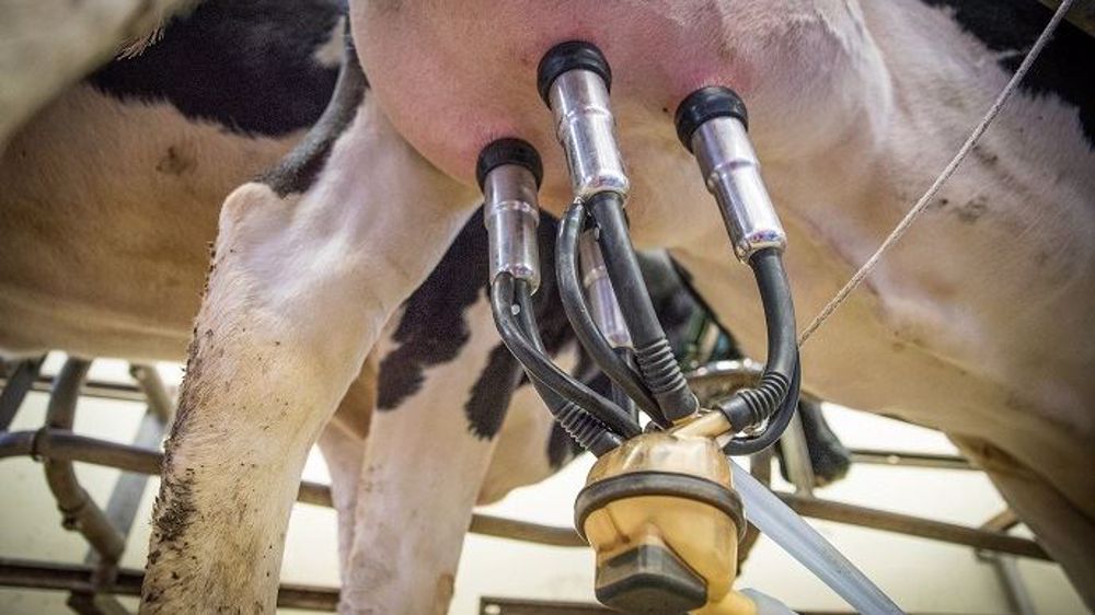 Les coopératives laitières expliquent avoir subi d'importants surcoûts liés à la pandémie de coronavirus. (©Pixabay)