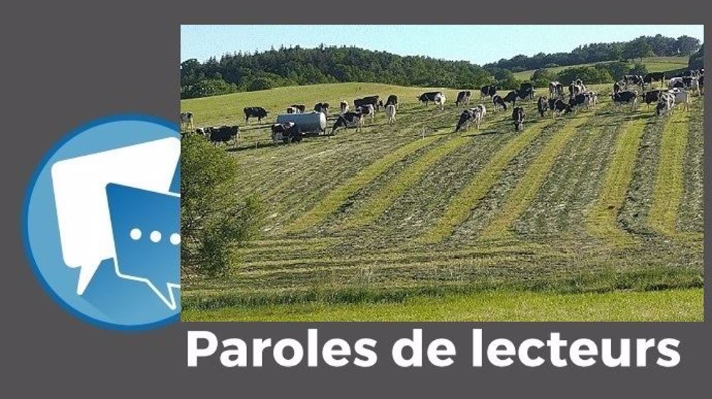 Grâce au topping, Xavier Le Gall n'a « plus de paddocks sales ni de refus ». (©Olivier Sourdin)