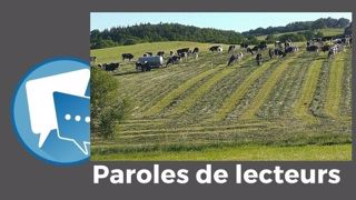 Grâce au topping, Xavier Le Gall n'a « plus de paddocks sales ni de refus ». (©Olivier Sourdin) Grâce au topping, Xavier Le Gall n'a « plus de paddocks sales ni de refus ». (©Olivier Sourdin)