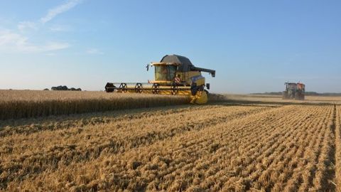 Plus de 2 000 parcelles ont été renseignées sur Moisson Live. (©Terre-net Média) Plus de 2 000 parcelles ont été renseignées sur Moisson Live. (©Terre-net Média)