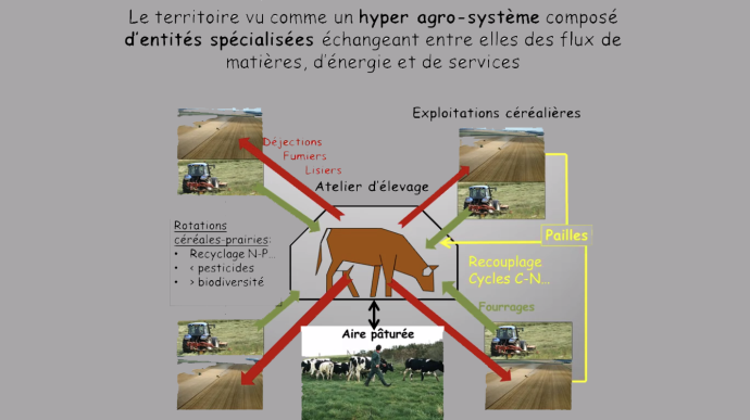 Organisation et optimisation des échanges au sein des territoires