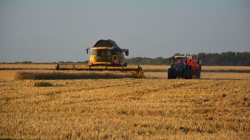 Au Texas et en Oklahoma, il ne reste plus que 25 % des surfaces de blé d'hiver encore à récolter. (©Terre-net Média)