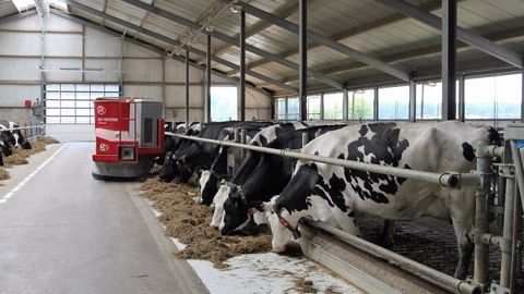 Le coût d'un robot d'alimentation varie entre 150 000 et 300 000 € selon l'effectif à nourrir. À cela s'ajoutent les coûts d'aménagement du bâtiment et les frais de fonctionnement. (©CC) Le coût d'un robot d'alimentation varie entre 150 000 et 300 000 € selon l'effectif à nourrir. À cela s'ajoutent les coûts d'aménagement du bâtiment et les frais de fonctionnement. (©CC)