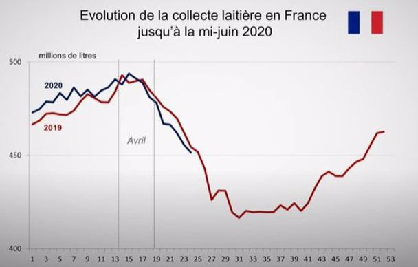 Évolution de la collecte laitières en France jusqu'à la mi-juin 2020