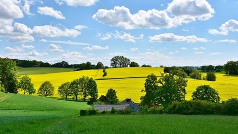 Les députés préconisent un plan de relance de l'agriculture prévoyant un soutien aux filières les plus en difficulté et aux filières de diversification. (©Terre-net Média) Les députés préconisent un plan de relance de l'agriculture prévoyant un soutien aux filières les plus en difficulté et aux filières de diversification. (©Terre-net Média)