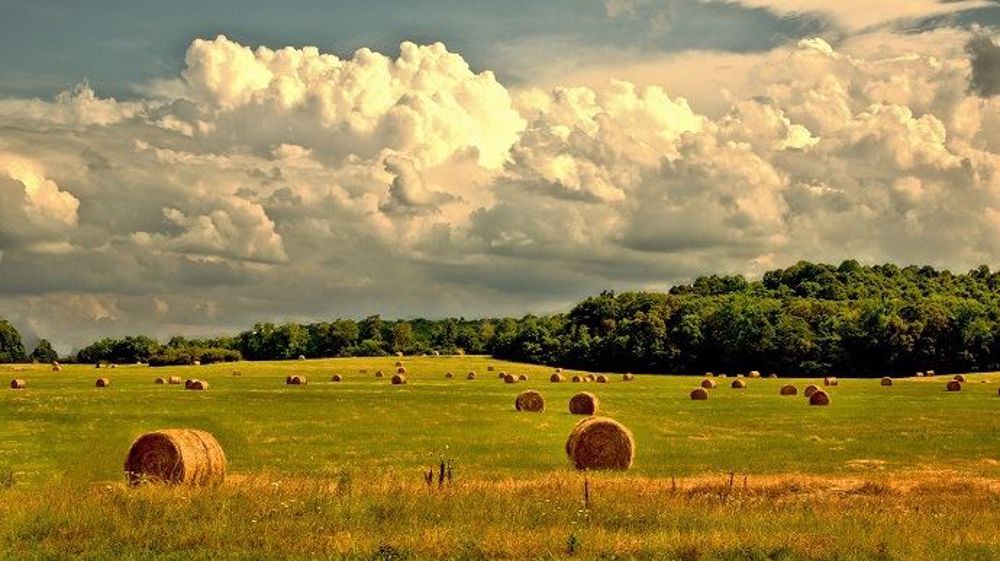 En juin, la température moyenne nationale a atteint 18,1 degrès, proche des normales. (©Pixabay)