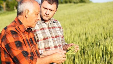 Les coopératives agricoles ont un rôle légitime à jouer dans l'accompagnement technique, économique et humain des jeunes agriculteurs. (©PointImages, Fotolia)