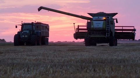 La moisson progresse à un bon rythme en Russie. (©Terre-net Média)