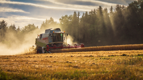  L'Ukraine a récolté 20,6 Mt de céréales au 23 juillet sur 5,7 Mha, d'après de ministère de l'agriculture du pays. (©Pixabay)