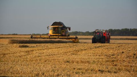 La récolte de céréales s'élève à 62,7 Mt en Russie, au 4 juillet, selon le ministère de l'agriculture du pays. (©Terre-net Média) La récolte de céréales s'élève à 62,7 Mt en Russie, au 4 juillet, selon le ministère de l'agriculture du pays. (©Terre-net Média)