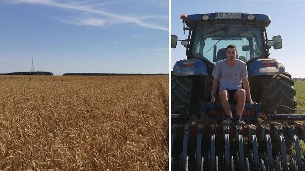 À cause de la pluie incessante à l'automne, Maxime Thorey n'a pu semer que 30 ha de blé d'hiver sur les 50 prévus. (©Maxime Thorey)