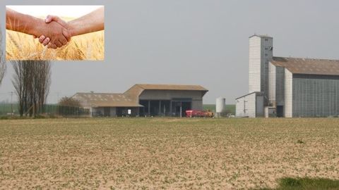  73 % des coopératives du réseau La Coopération Agricole mettent en place des aides financières pour les jeunes agriculteurs et 65 % un suivi technique renforcé. (©Terre-net Média, Fotolia // Création Terre-net Média)