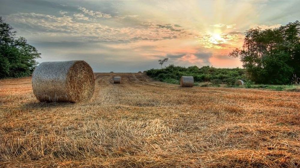 La France subit un été anormalement sec et chaud. (©PixaBay)