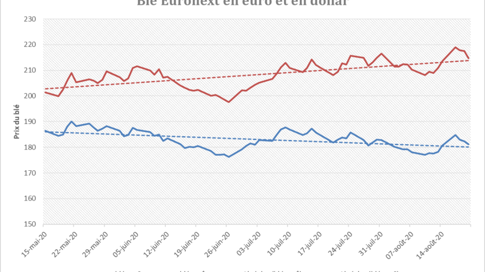 L’eurollar domine les prix du blé