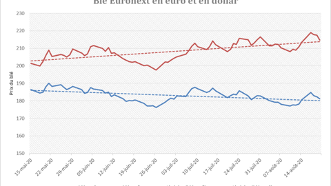 L’eurollar domine les prix du blé