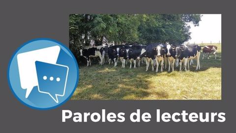 « Sans eau, adieu veau, vache, cochon... », résume Jmb67. (©Terre-net Média) « Sans eau, adieu veau, vache, cochon... », résume Jmb67. (©Terre-net Média)