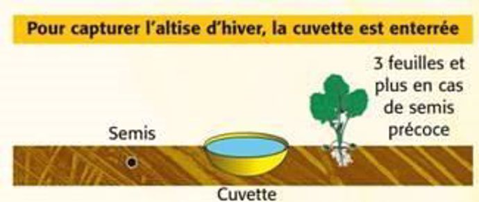 Cuvette enterrée