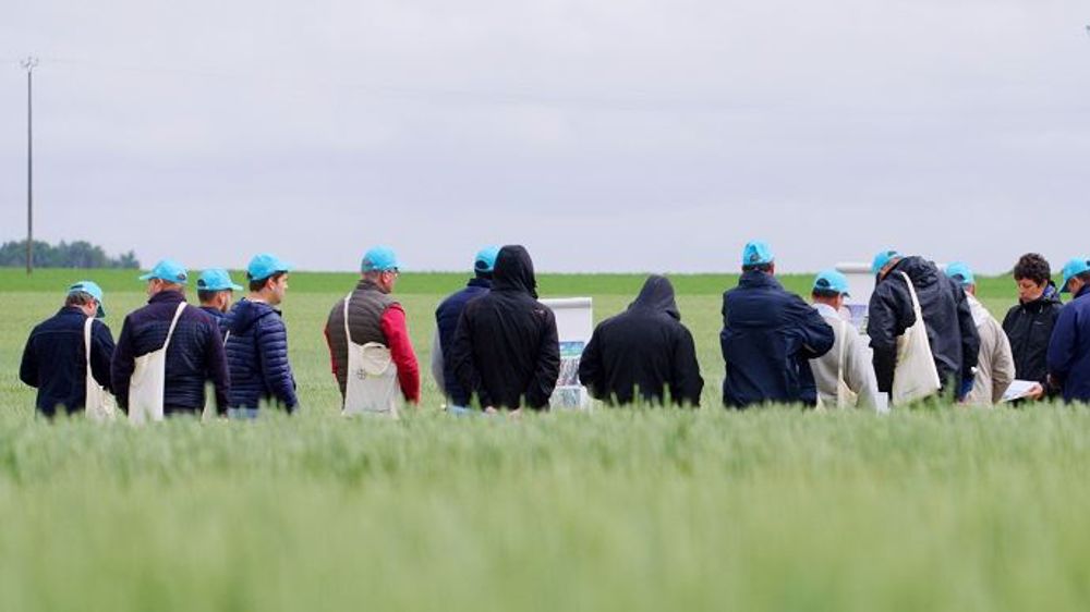 Chaque année, des visites des plateformes sont programmées pour permettre aux agriculteurs d’échanger avec des experts et de trouver les meilleures stratégies de désherbage. (©Bayer)