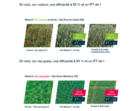 Une application de Mateno comparée à un programme classique à deux produits, dans une parcelle avec des vulpins et une autre avec du ray-grass.