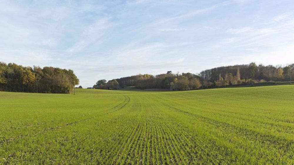 Pour savoir quel produit utiliser à quelle dose, conseille Pierre-Yves Yeme, il faut observer les plantules déjà levées mais surtout, se remémorer l’historique de la parcelle et son niveau d’infestation les années précédentes. (©Bayer)