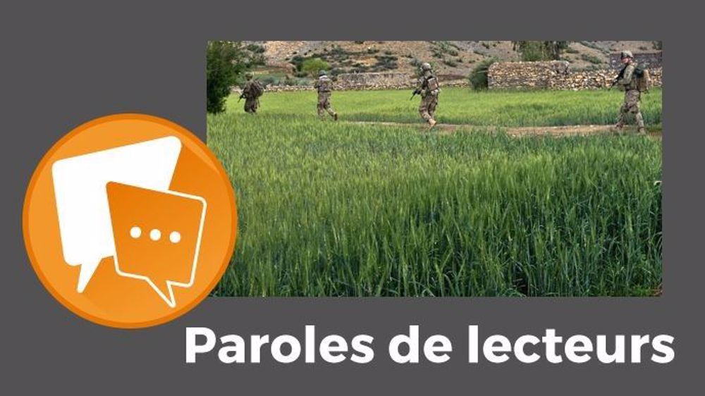 Pour A85, « il ne fait pas bon être soldats dans la guerre agricole évoquée par Sébastien Abis ». (©Pixabey // Création Terre-net Média)